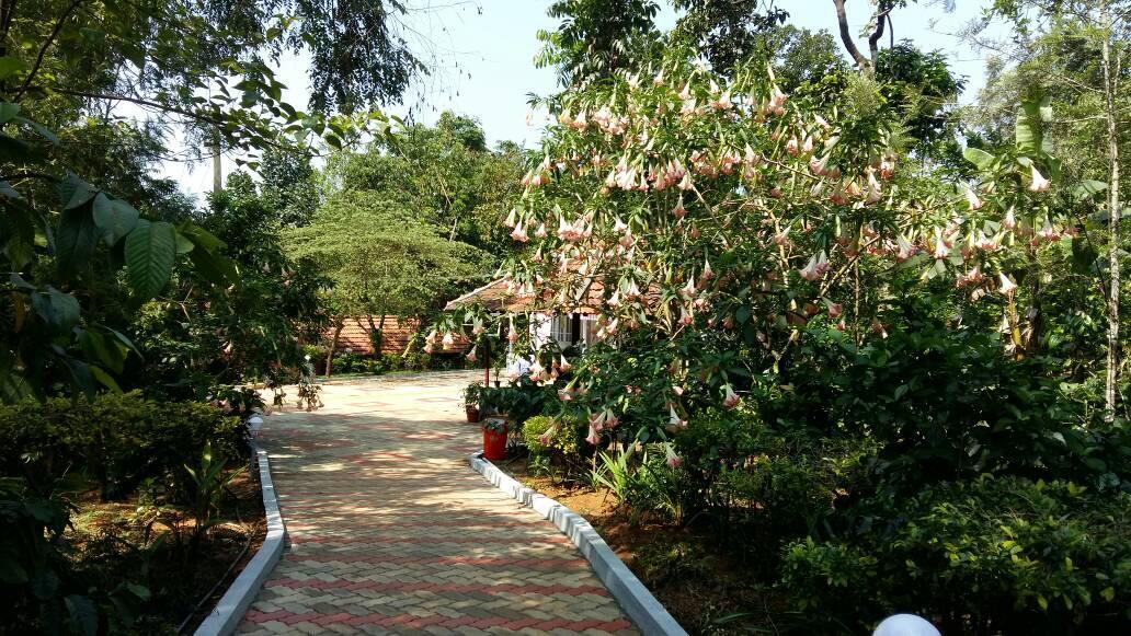 Hotel Leisure Vacations Whispering Woods Madikeri Exterior foto