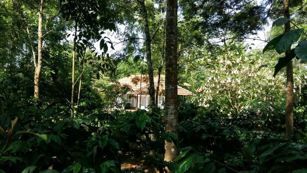 Hotel Leisure Vacations Whispering Woods Madikeri Exterior foto